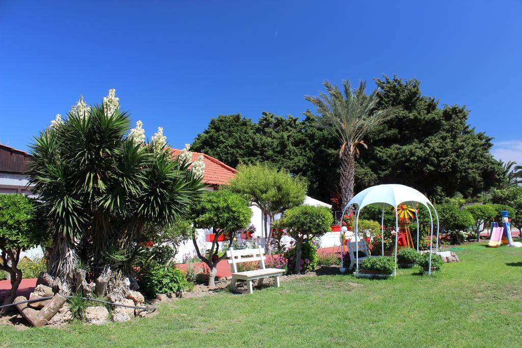 Corellia Asterias Beach Hotel Theológos Esterno foto